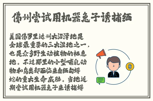 京东影业jd008苏小小